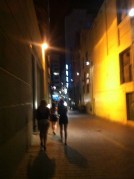 "This seems like a dark alley...""It's a shortcut!""Lane -Fu@k it - just take it. YOLO"[I was scared but we survived :)]