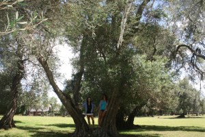 IMG_7811 Ana's  (479)